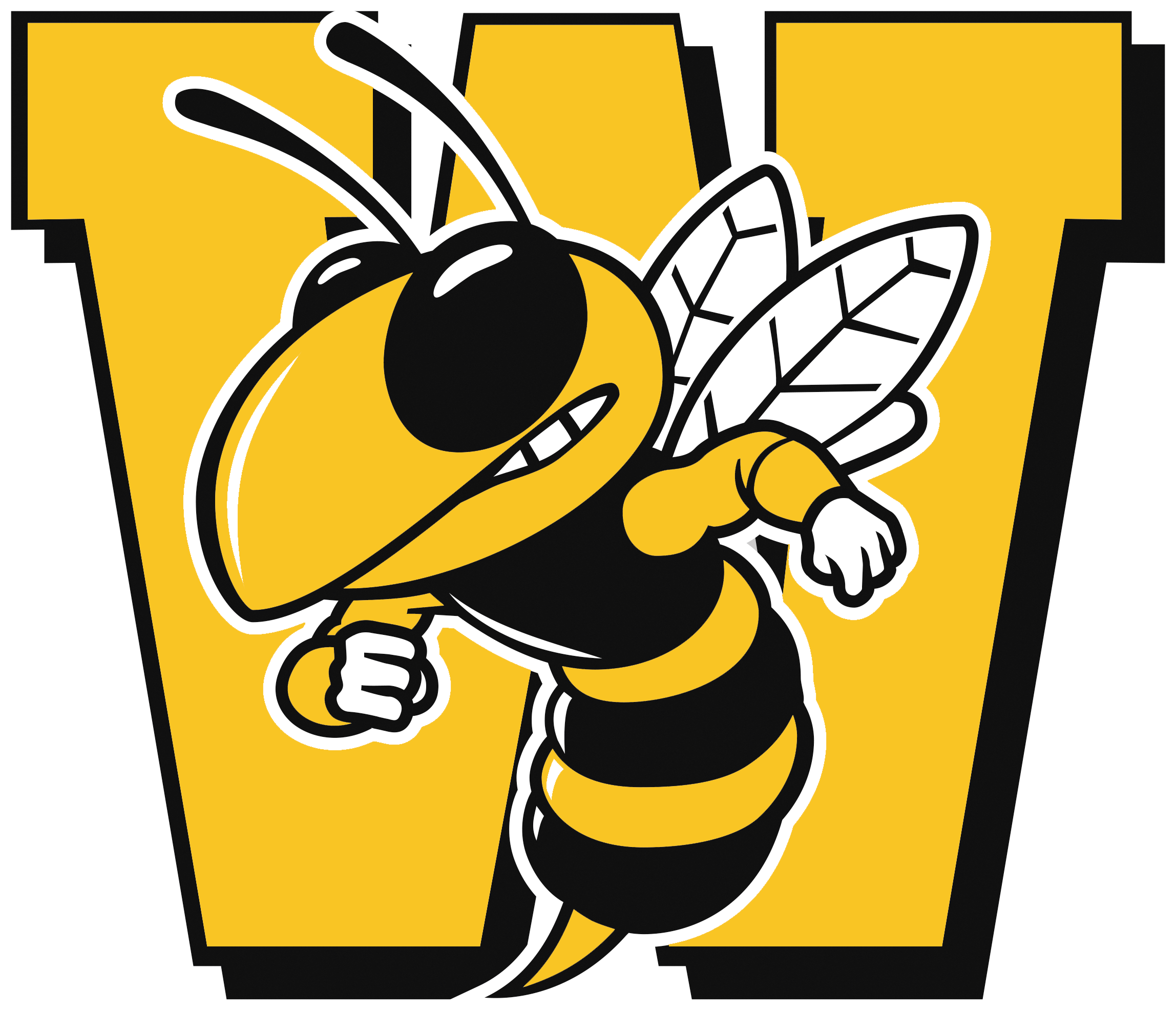 Heber City Wasatch Wasps